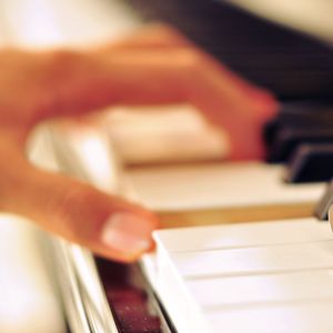 国外枪击生殖器视频
