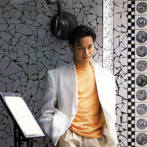 国外枪击生殖器视频
