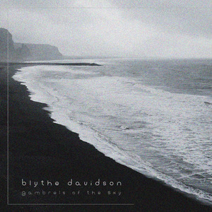 国外枪击生殖器视频
